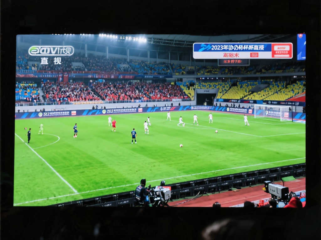 乐鱼体育APP下载