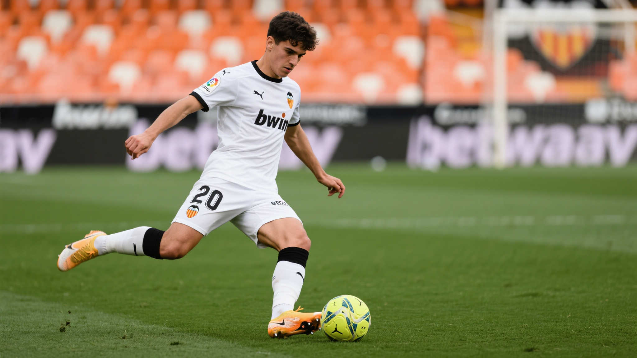 乐鱼体育APP下载